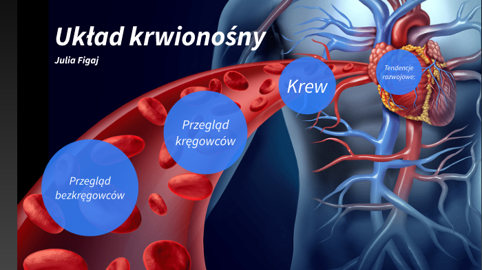 Układ krwionośny by Julia Figaj on Prezi