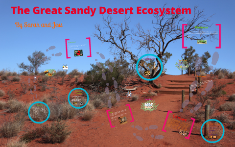 The Great Sandy Desert by Sarah Hegney