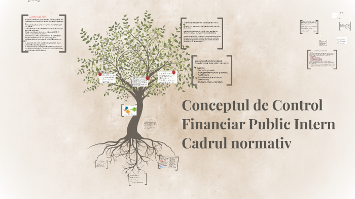 Conceptul De Control Financiar Public Intern By Cristina Scerbina On Prezi