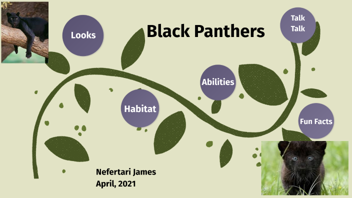 Black Panther by Nefertari James