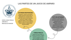 Las partes de un Juicio de Amparo by andrea juarez on Prezi Design