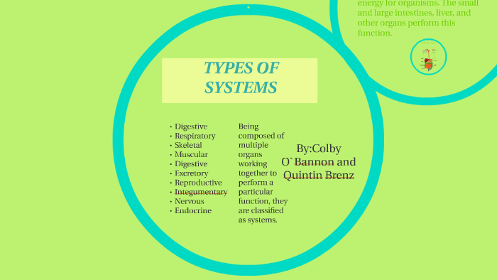 types-of-systems-by-colby-obannon