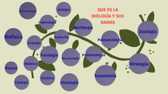 Que es biológica y sus divisiones by aisha lopez