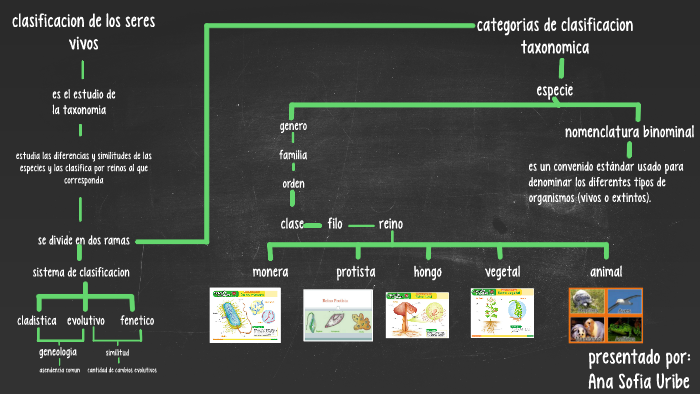 reinos de la naturaleza by Ana S Uribe on Prezi