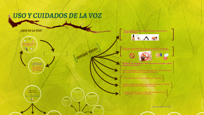 USO Y CUIDADOS DE LA VOZ by Sofia Erazo on Prezi