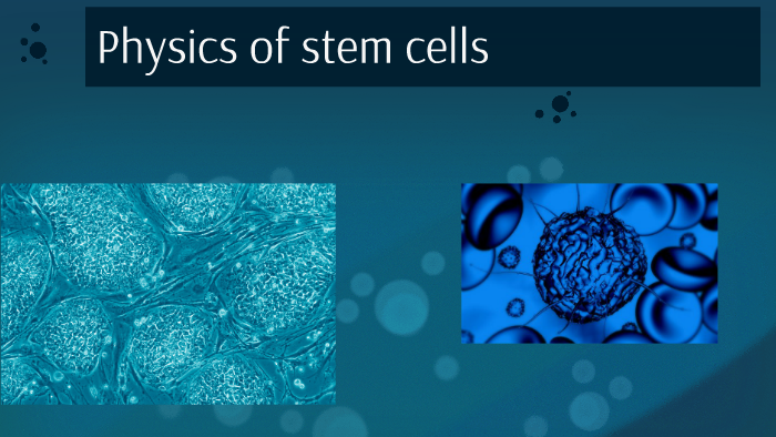 Physics of stem cells by brent cathcart on Prezi