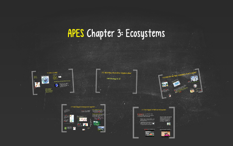 apes chapter 3 case study