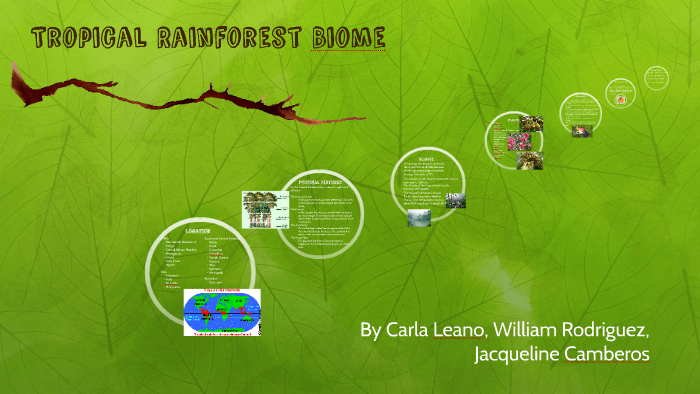 Tropical Rainforest by on Prezi