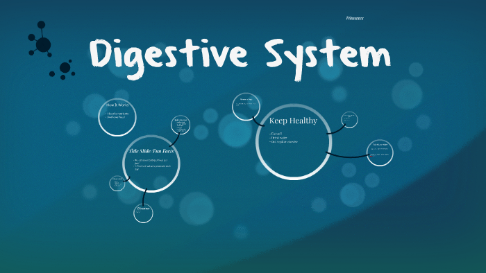 Digestive System by Tyler Reidy on Prezi
