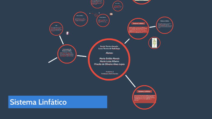 Sistema Linfático By Priscila Lopes On Prezi