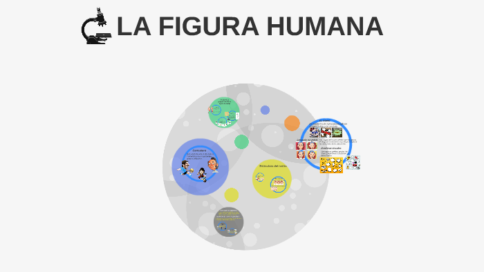 LA FIGURA HUMANA by Marina Frias on Prezi