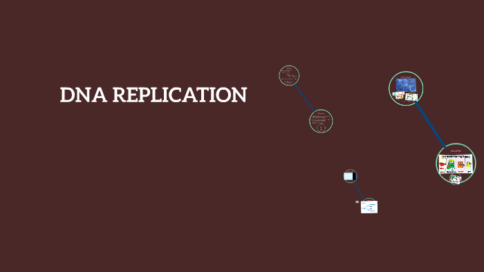 DNA REPLICATION by Claire Xu on Prezi