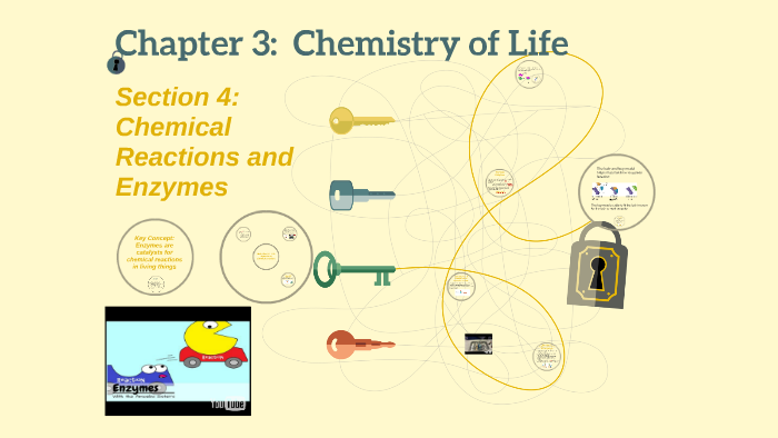 3.4 Chemical Reactions & Enzymes by Melissa Panzer on Prezi