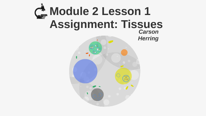 Module 2 Lesson 1 Assignment: Tissues by Carson Herring on Prezi