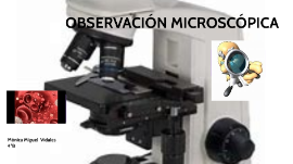 Janice exageración voltaje Observacion microscopica by MÓNICA Mª MIGUEL VIDALES