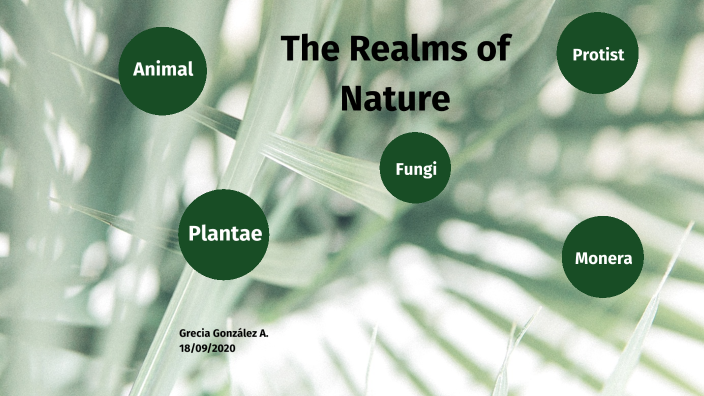 LOS REINOS DE LA NATURALEZA by Grecia González Aguilar on Prezi