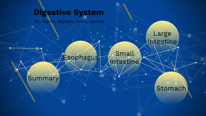 Digestive System by Anna Giudice on Prezi