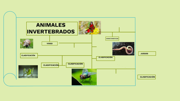 cladograma de invertebrados