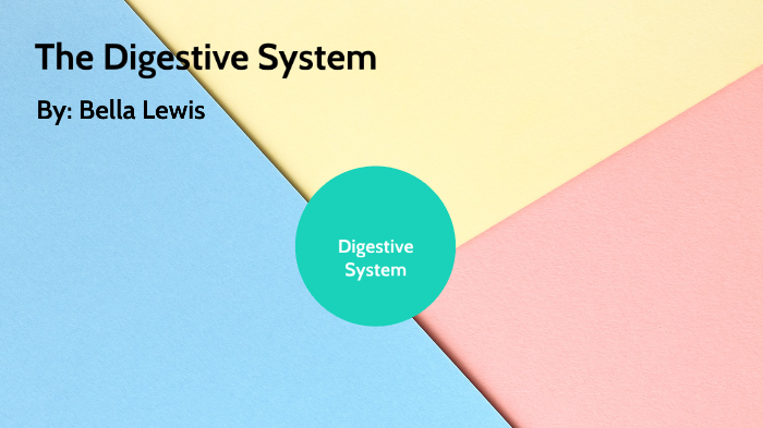 The Digestive System by Mirabella Lewis on Prezi