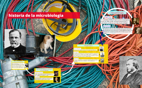 historia de la microbiologia by sebastian reyes