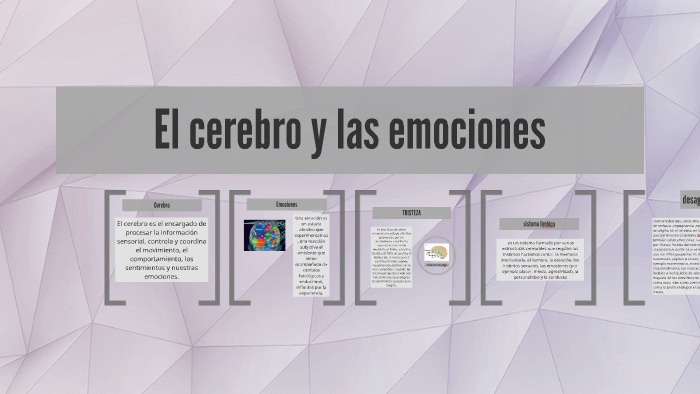 El cerebro y las emociones by Natalia Villarreal on Prezi