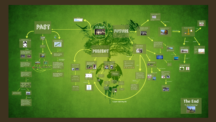 Ecosystem at Isle Royale by Sai Gayathri Metla