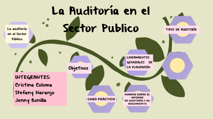 LA AUDITORIA EN EL SECTOR PUBLICO by stefany naranjo on Prezi