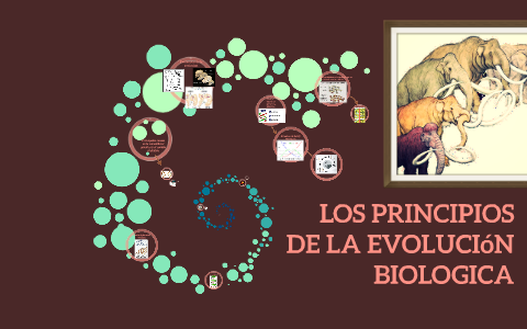 LOS PRINCIPIOS DE LA EVOLUCION BIOLOGICA Y SU RELACION CON L by Evelyn ...