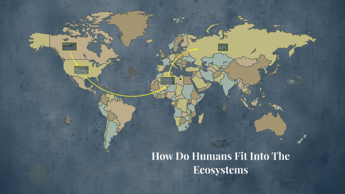 what-is-a-ecosystem-by-nolan-croft