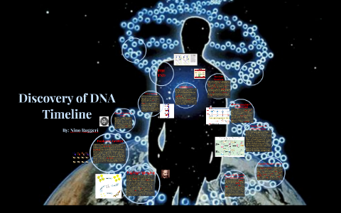 Discovery of DNA Timeline Project By Nino Ruggeri by Nino Ruggeri on Prezi