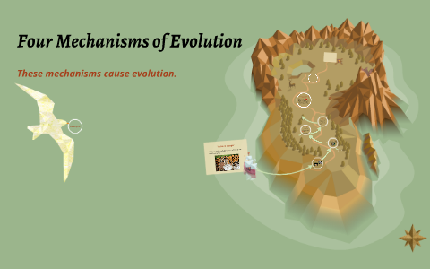 be able to describe the four mechanisms of evolution