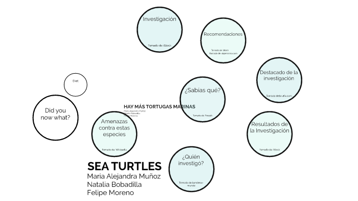 Sea Turtles by Maria alejandra muñoz perdomo on Prezi