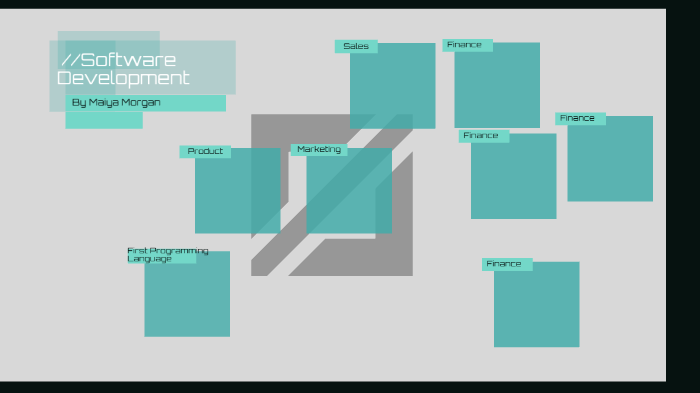 Software Development by m morgan on Prezi