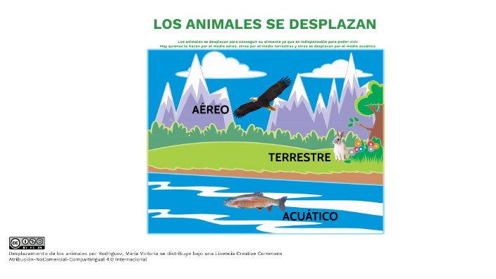 Desplazamiento de los animales by Maria Victoria Rodriguez on Prezi