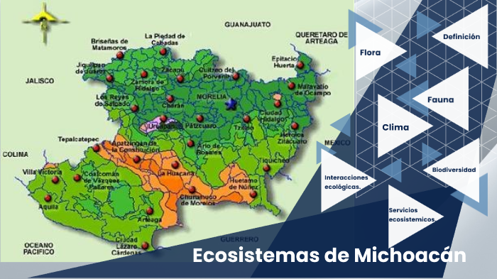 Ecosistemas de Michoacán by oscar chavez on Prezi