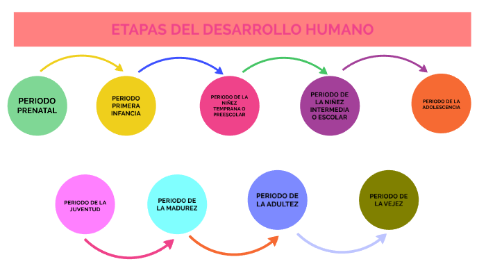 ETAPAS DEL DESARROLLO HUMANO by Alison Dayana Perez Bustamante