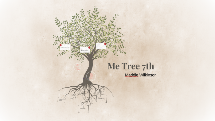 The Me Tree Examples Me Tree by maddie wilkinson on Prezi