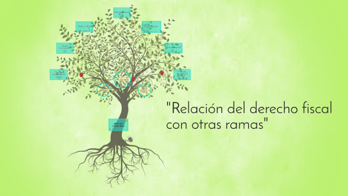 Relación del derecho fiscal con otras ramas by Claudia Ibarra on Prezi