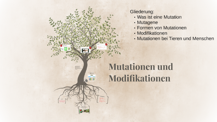 Mutationen und Modifikationen by Antonia Loeffel - Ayguhk62aD2pyagmm7xw7upvex6jc3sachvcDoaizecfr3Dnitcq 3 0