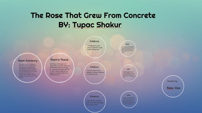 the rose that grew from concrete book poems