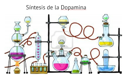Síntesis de la dopamina by Luis Aguilar López on Prezi