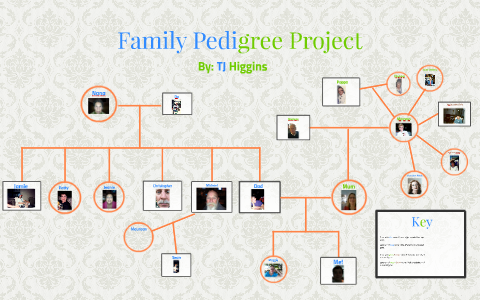 special assignment pedigree family tree poster project