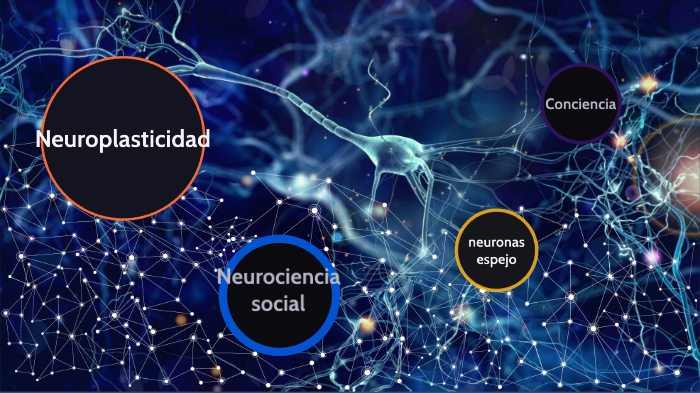 Neurociencia y neuronas espejo by demian andres