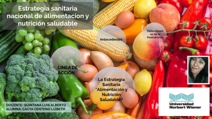 Estrategia Sanitaria Nacional De Alimentacion Y Nutricion Saludable By Lizbeth V Cacya Centeno 1267