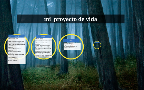 mi proyecto de vida by brayan monsalve on Prezi