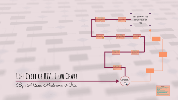 Period Flow Chart
