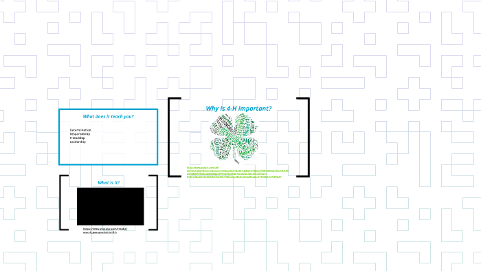 why-is-4-h-important-by-morgan-bear-on-prezi