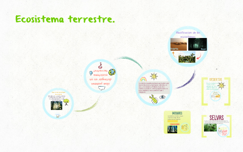 Ecosistema terrestre. by Melissa Rojas on Prezi