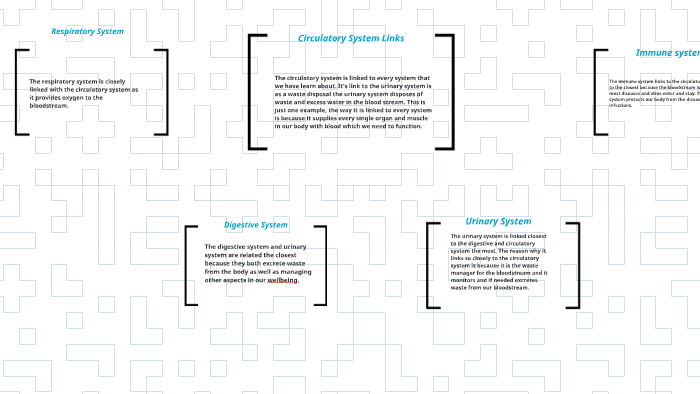 Systems Mindmap by Macie Daniel on Prezi