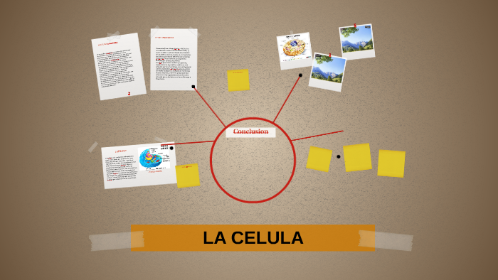 LA CELULA by KIRSSY LOPEZ on Prezi